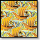Fish and boats
